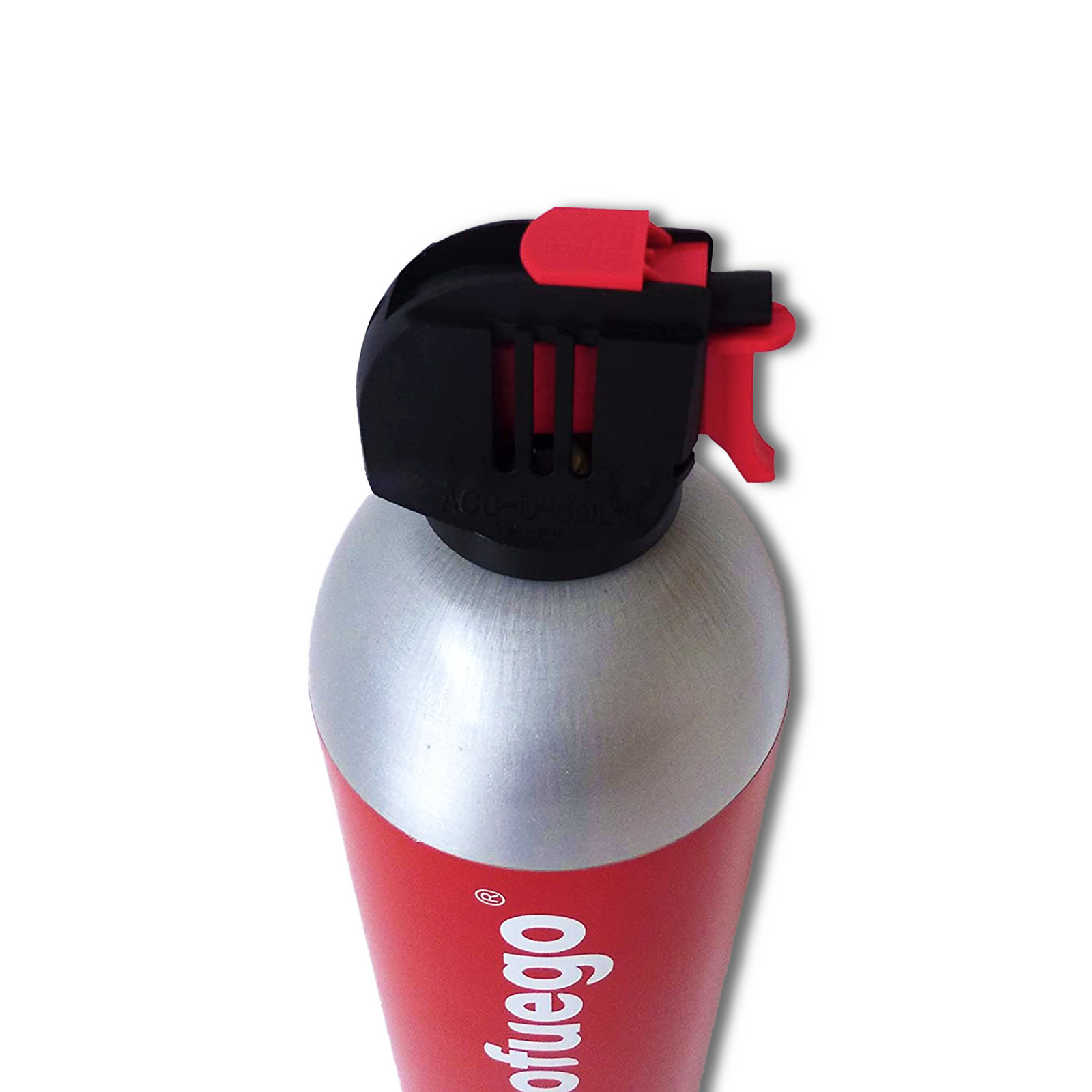 Securikit - Extintor en Spray para Casa y coche. Espuma para incendios A B  E (F) . Tamaño grande 750gr